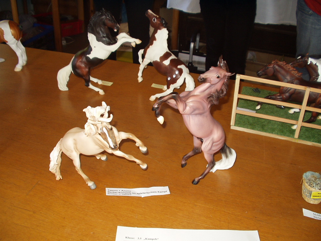 P1010107.JPG